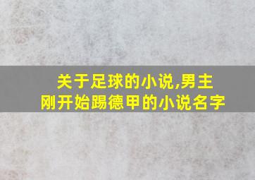 关于足球的小说,男主刚开始踢德甲的小说名字