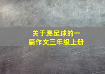 关于踢足球的一篇作文三年级上册