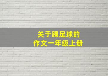 关于踢足球的作文一年级上册