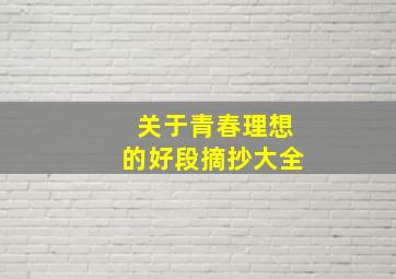 关于青春理想的好段摘抄大全