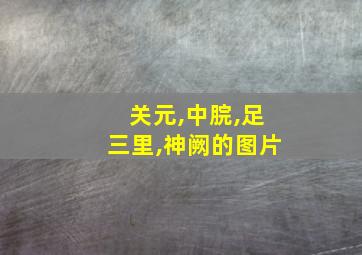 关元,中脘,足三里,神阙的图片