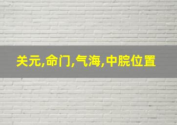 关元,命门,气海,中脘位置