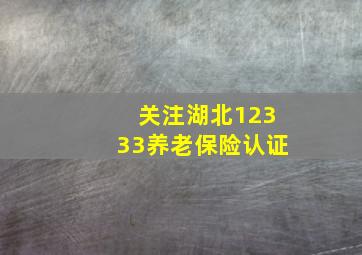 关注湖北12333养老保险认证