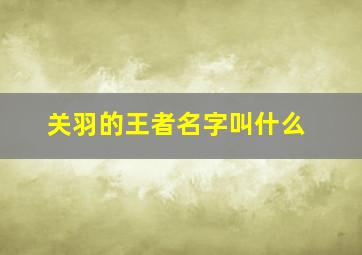 关羽的王者名字叫什么