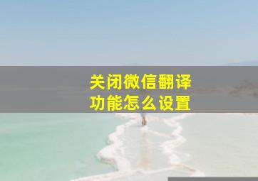 关闭微信翻译功能怎么设置