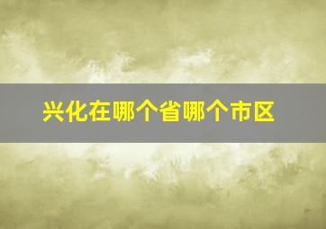 兴化在哪个省哪个市区