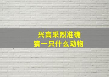 兴高采烈准确猜一只什么动物