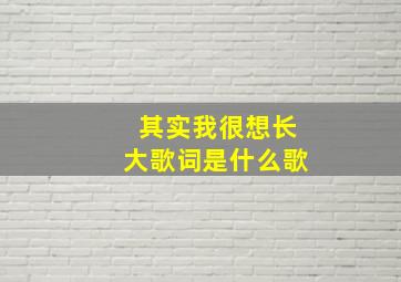 其实我很想长大歌词是什么歌