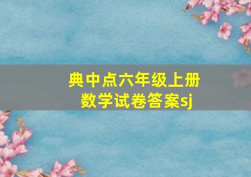 典中点六年级上册数学试卷答案sj