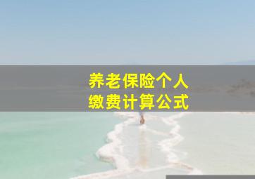 养老保险个人缴费计算公式