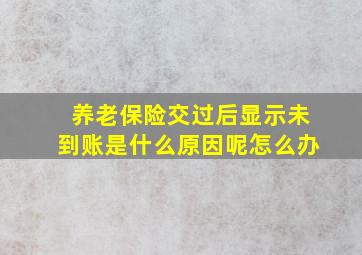 养老保险交过后显示未到账是什么原因呢怎么办