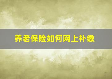 养老保险如何网上补缴