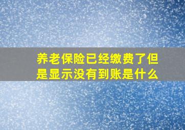 养老保险已经缴费了但是显示没有到账是什么