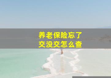 养老保险忘了交没交怎么查