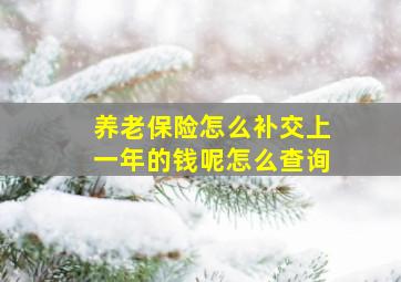 养老保险怎么补交上一年的钱呢怎么查询