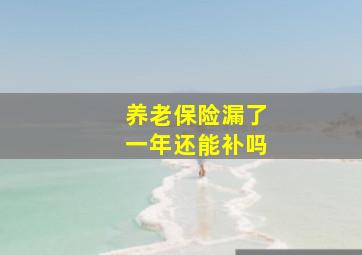 养老保险漏了一年还能补吗