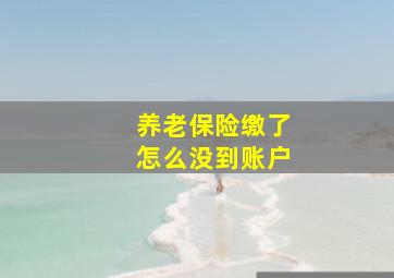 养老保险缴了怎么没到账户