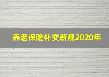 养老保险补交新规2020年