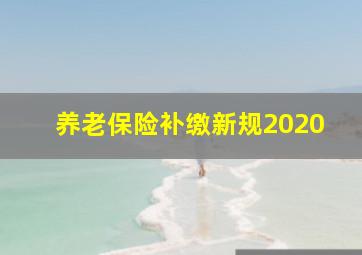 养老保险补缴新规2020