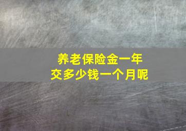 养老保险金一年交多少钱一个月呢