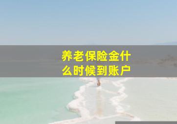 养老保险金什么时候到账户