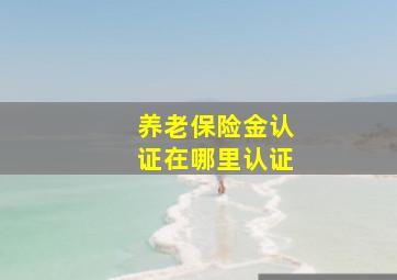 养老保险金认证在哪里认证