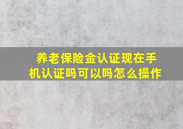 养老保险金认证现在手机认证吗可以吗怎么操作