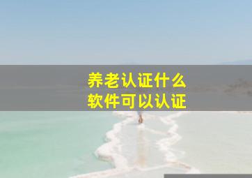 养老认证什么软件可以认证