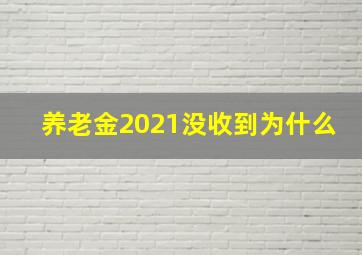 养老金2021没收到为什么