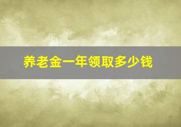 养老金一年领取多少钱