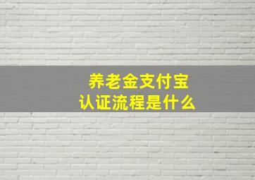 养老金支付宝认证流程是什么