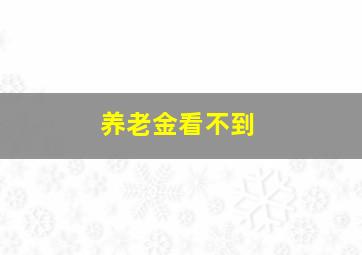 养老金看不到