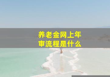 养老金网上年审流程是什么