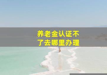 养老金认证不了去哪里办理