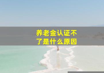 养老金认证不了是什么原因