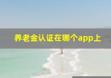 养老金认证在哪个app上