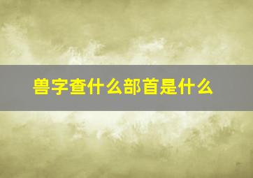 兽字查什么部首是什么