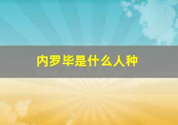 内罗毕是什么人种