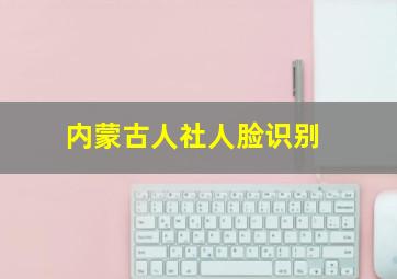 内蒙古人社人脸识别