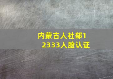 内蒙古人社部12333人脸认证