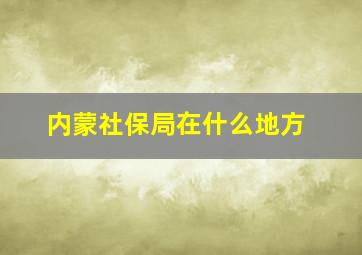 内蒙社保局在什么地方