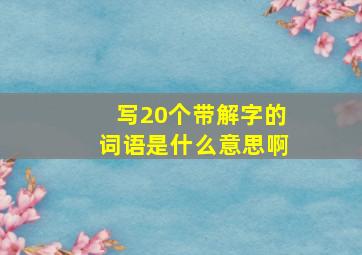 写20个带解字的词语是什么意思啊