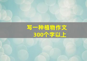 写一种植物作文300个字以上