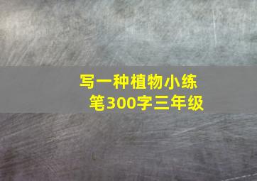 写一种植物小练笔300字三年级