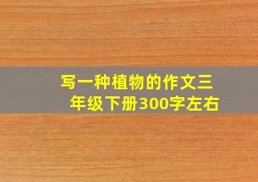 写一种植物的作文三年级下册300字左右