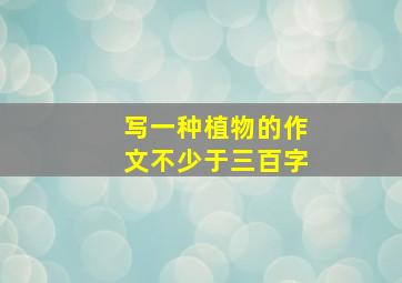 写一种植物的作文不少于三百字