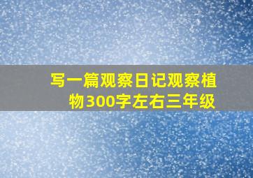 写一篇观察日记观察植物300字左右三年级