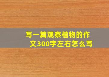 写一篇观察植物的作文300字左右怎么写