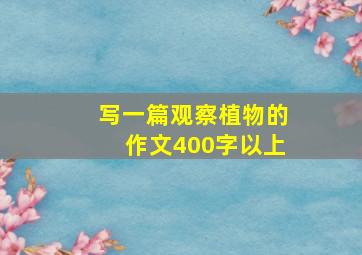 写一篇观察植物的作文400字以上