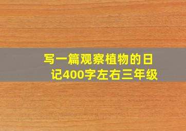 写一篇观察植物的日记400字左右三年级